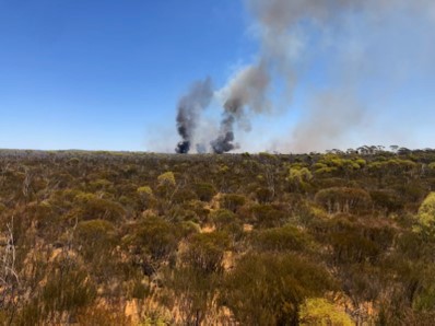 Bush Fire Information Image