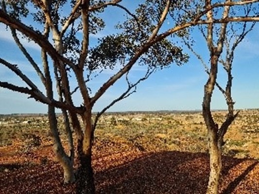 Coolgardie Attractions - Lion's Lookout