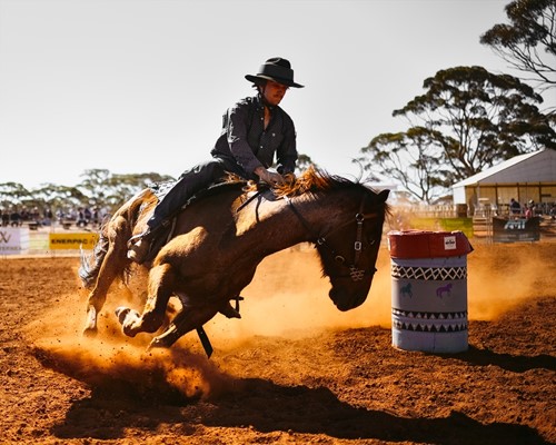 Album Preview: Coolgardie Outback Rodeo 2024