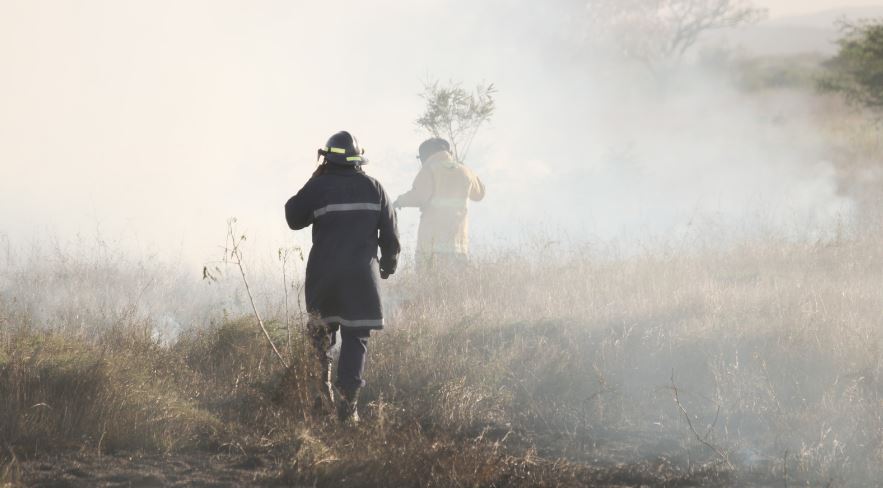 Seniors Staying Connected- Are you Bushfire ready?